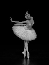 Svetlana Zakharova & Stelle del Teatro Bol’šoj di Mosca e del Teatro Mariinskij di San Pietroburgo. Russian Code al Ravello Festival