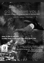 G.O.INTENSIVE VOL.5. Workshop con Gustavo Oliveira e Sonja Schwaiger. Festival Dancescreen in the Land 2023