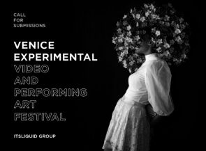 Venice Experimental Video and Performing Art Festival 2024. Open call