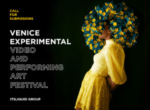 Venice Experimental Video and Performing Art Festival 2024. Open call